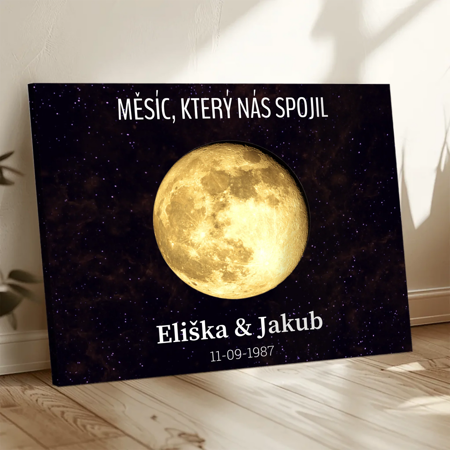 Canvas-24x16-no frame 2